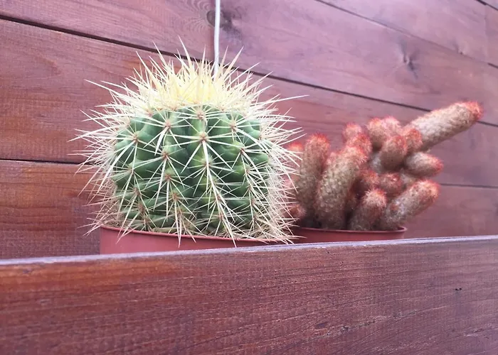 Apartamento Concept *